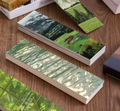 Into The Woods | 30-Piece Aesthetic Bookmark Collection